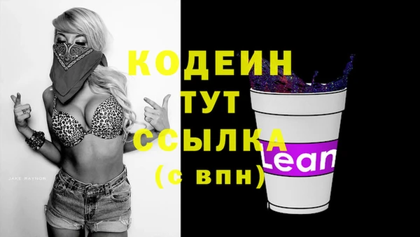 молекула духа Гатчина