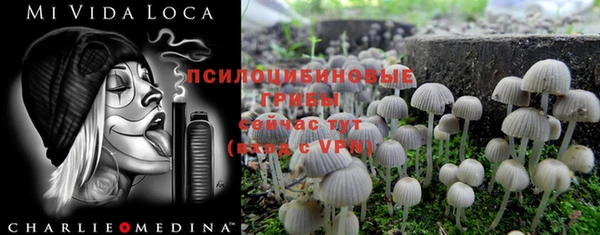 COCAINE Галич