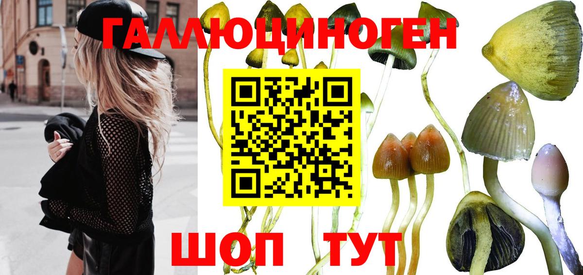 Галлюциногенные грибы прущие грибы Полысаево
