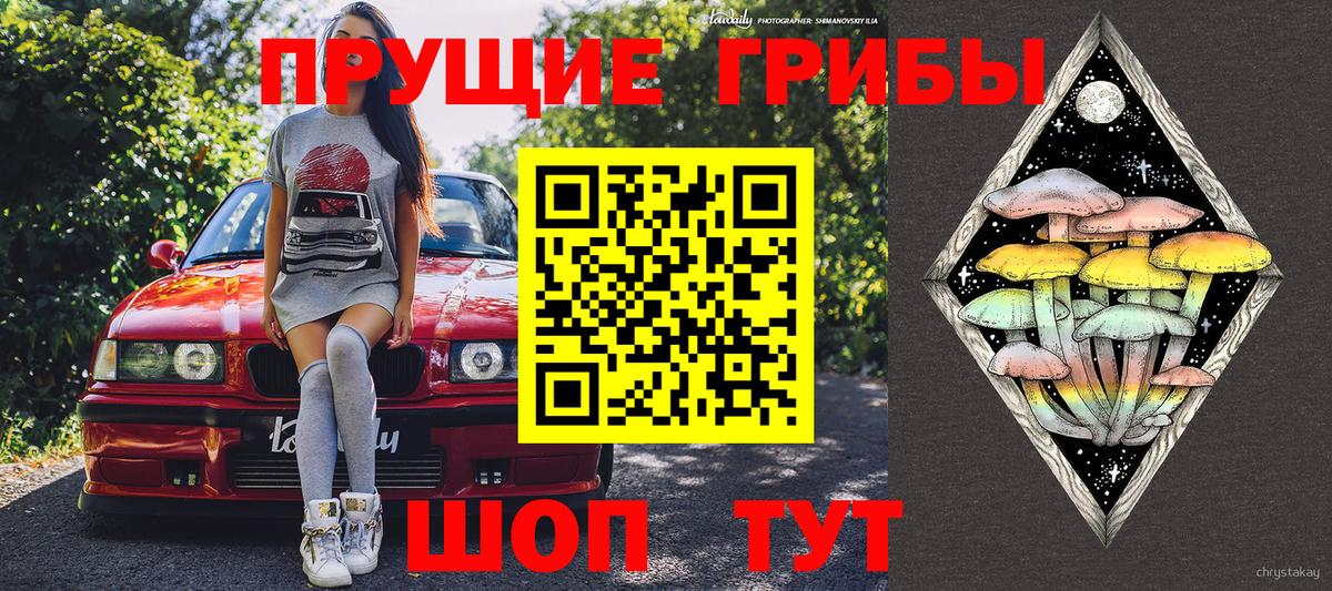 Галлюциногенные грибы Cubensis Полысаево