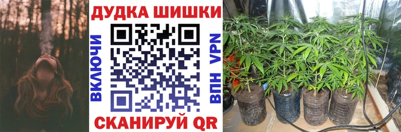 Бошки Шишки семена  Полысаево 